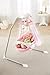 Fisher-Price Papasan Cradle Swing, Butterfly Garden