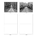 The Best Card Company - Box of 10 All Occasion Cards Blank (4 x 5.12 Inch) - Scenic Landscape Cards Assorted - Tree Lines M3313-NB