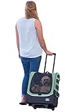 Pet Gear I-GO2 Plus Traveler Rolling Backpack Carrier for Small Cats and Dogs, Sage