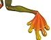 Comical Patootie Lucky Tree Frog Wall Mount Figurine