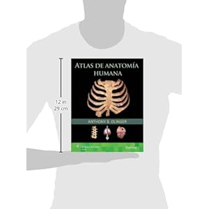 Atlas de anatomía humana (Spanish Edition)
