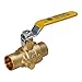 Everflow 405C034-NL Full Port Ball Valve with Drain, Forged Brass Construction w/Chrome Plated Brass Body with 3/4 Inch SWT, Blow Out Proof Stem Design, Stainless Steel Ball Handle with Vinyl Grip