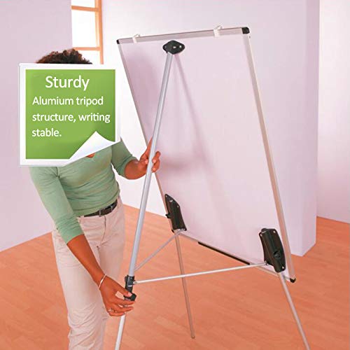 CHEAP Dry Erase Board, Whiteboard with Tripod Stand