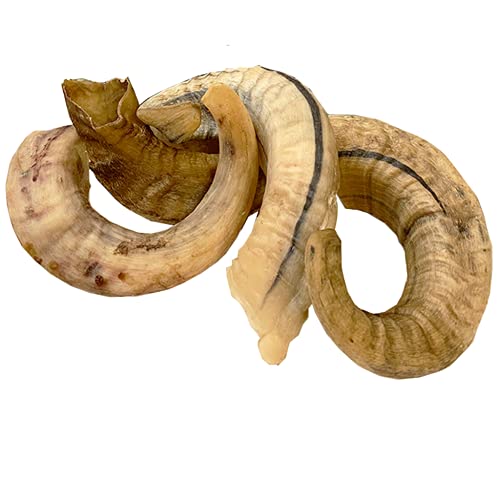 Lamb Horn (2 Count Full Size) Lamb Horn Antler Dog Chews Horn Bones