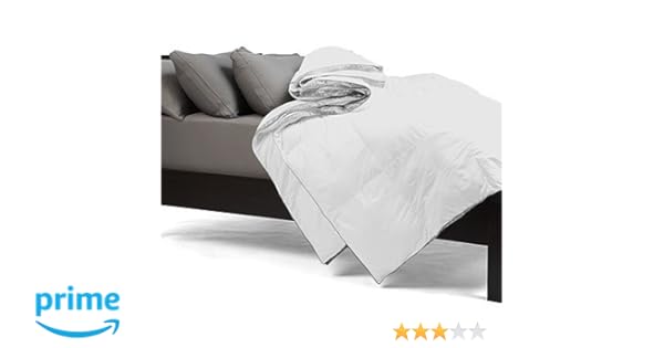 Amazon Com Sheex European White Down Performance Comforter Full