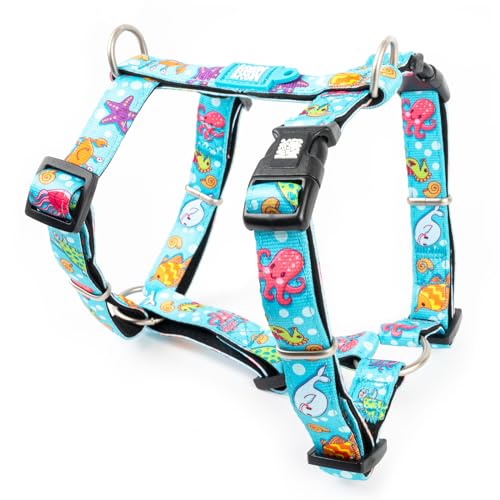 Max & Molly H-Harness - Blue Ocean, L