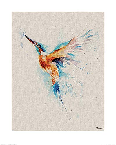 Jane Bannon (A Quick Dip 40 x 50cm Art Print