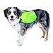 Outward Hound DayPak Green Dog Saddleback Backpack, Medium