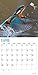 2020 Tropical Birds Calendar 16 Month 12 x 12 Wall Calendar by Bright Day Calendars (Bird Collection) (Tropical Birds 2019)