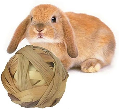 小動物噛 むボール ウサギ歯磨き 天然草 ボール 噛むおもちゃ ウサギ 猫 ハムスター 小動物用おもちゃボール 歯磨き 訓練 遊びボール おやつボール ストレス解消 運動不足 清潔 安全 直径約10cm B07r5xgn6x 0円 小動物噛 むボール ウサギ歯磨き 天然草 ボール 噛むおもちゃ ウサギ 猫 ハムスター 小動物用おもちゃボール 歯磨き 訓練 遊びボール おやつボール ストレス解消 運動不足 清潔 安全 直径約10cm B07r5xgn6x 0円