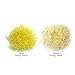 EcoJeannie Professional Hand Held Cheese Grater Lemon Zester for Very Fine Shavings, Heavy Duty, Commercial Grade, Non-Slip Easy-Grip Handle, High Quality Stainless Steel