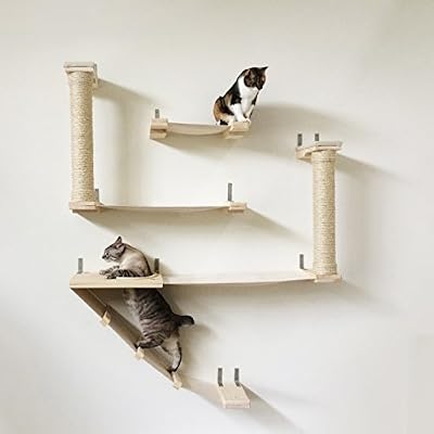 Catastrophicreations The Roman Cat Fort Hammock Climbing Activity Handcrafted Wall Mounted Cat Tree Onyx Amazon Ae