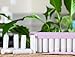 Premium DIY Natural Organic Lip Balm making KIT