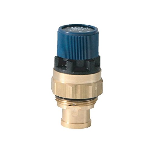 SYR Safety Valve 6 Bar