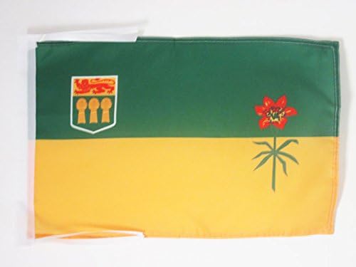 AZ FLAG, Saskatchewan Flag, 18'' x 12'', 100% Polyester Canada, Canadian region of Saskatchewan Small Banner with Two Cords