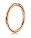 Thunaraz 316L Surgical Steel Nose Hoop Ring Septum Clicker Ring Hinged Clicker Seamless Segment Helix Daith Cartilage Lip Piercing Rose Gold