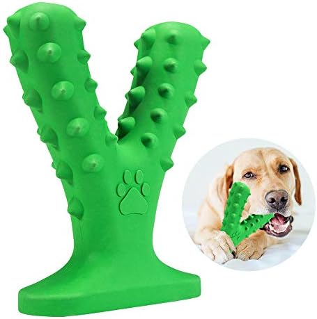 vsoo dog training collar