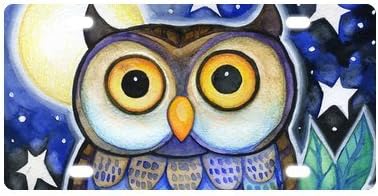 Custom Cartoon Animal Style Abstract Owl License Plate 12" X 6"