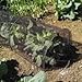 Gardman 7682 Netting Grow Tunnel, Black Polyethylene, 10' Long x 18