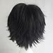 Black Cosplay Synthetic Wig with Bangs Short 20 Styles Anime Layered Fluffy Hair Oblique Fringe Full Head Unisex for Man and Women Girls Lady Fashion (Black)