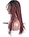 BLUPLE Ombre Micro Braided 1b Wine Red Synthetic Lace Front Wigs Fully Hand Tied Heat Resistant Hair Braiding Styles Fiber Hand Braided Wig for Black Women (18 inches, Micro Braided,T1B/Wine Red)