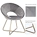 Duhome Modern Velvet Accent Chairs Upholstered Vanity Chairs Make-up Stool Home Office Guest Reception Chair Arm Leisure Chairs Dining Chair with Golden Legs Mid-Back for Living Room 1 pcs Grey