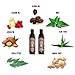 Beard Wash & Beard Conditioner Set w/Argan & Jojoba Oils - Softens & Strengthens - Natural Sandalwood Scent - Beard Shampoo w/Beard Oil (10oz)