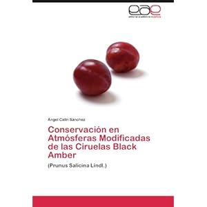 Conservación en Atmósferas Modificadas de las Ciruelas Black Amber: (Prunus Salicina Lindl.) (Spanish Edition)