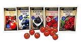 Fruit Combo Pack Raspberry, BlackBerry, Blueberry, Strawberry, Apple, Tomato (Organic) 675+ Seeds 650327337305 Self Fertile + 6 Free Plant Markers