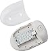 Gold Stars Natural White LED Dome Light 1 Pack (150 Lumens) F3528001