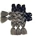 Lady Corner Ombre Braiding Hair 24inch Jumbo Braids High Temperature Fiber Synthetic Hair Extension 5pcs/Lot 100g/pc for Twist Braiding Hair (24inch(Pack of 5), Black-Silver grey)