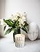 LA JOLIE MUSE Jasmine Scented Candles Soy Wax, 8 Oz 45 Hours Burn, Fine Home Fragrance, Gift for Her