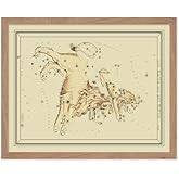 Poster Master Astrology Posters, Leo Zodiac Constellation Poster, 8x10 Unframed Art Print, Great Vintage Zodiac Poster, Aptitude Vintage Home Wall Decor for Astrology Enthusiasts