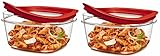 Rubbermaid FG7H77TRCHILI 5-Cup New Premier Food Storage Container (Pack of 2)