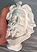 Torino Mini Marseilles and or Moses Head Plaster Cast Mannequin, Great for Artists, Artistic Piece, White, 4