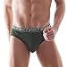 David Archy Men's 4 Pack Micro Modal Separate Pouch Briefs with Fly (S, Green)