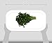 Organic Italian Parsley, 1 Bunch