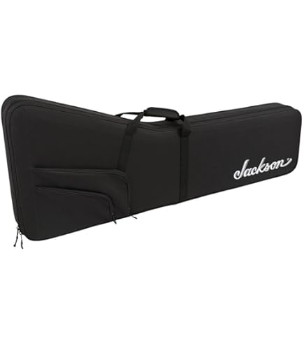 Amazon.com: Jackson Rhoads RR 6/7 Molded Case, Black