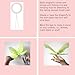 Hanging Dragonfly 14