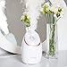 REVLON Illuminating Warm Mist Facial Steamer, white, 1 Count