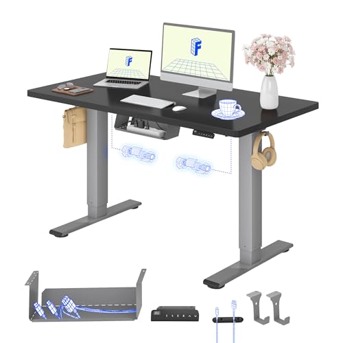 FLEXISPOT Höhenverstellbarer Schreibtisch elektrisch, Doppelmotor 120x60 cm