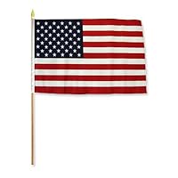 Flags Importer USA Dozen 12x18" Stick Flags, Multi