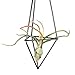 Mkono 3Pcs Hanging Air Plant Holder Himmeli for Tillandsia Airplants Display (with Chains), Black