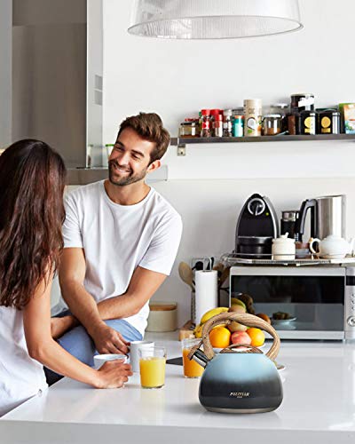 POLIVIAR Tea Kettle, Seabed Blue Teapot Stovetop 2.7 Quart, Loud Whistling Tea and Coffee Kettle, Food Grade Stainless Steel and Anti-Hot Handle, Suitable for All Heat Sources (JX2018-LB20)