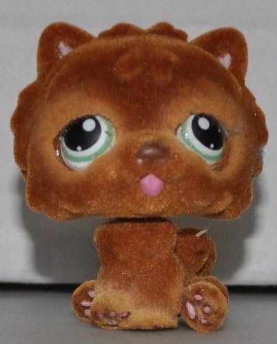 rescue groups for cats near me