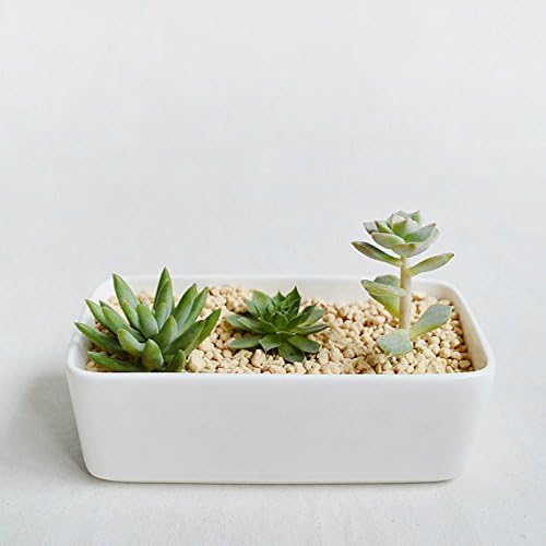 Rectangle Modern Minimalist White Ceramic Succulent Pot. Perfect planter/flower pot for succulent,cacti,flowers, live or artificial plants for home or office (PLA0008) (Without Tray)
