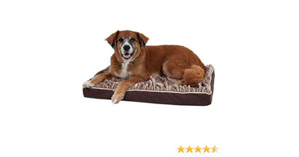 burrow dog bed amazon