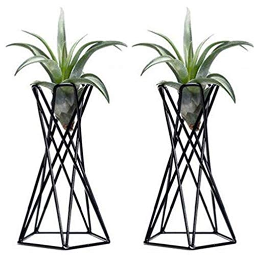 ZFRANC Plant Holder Plant Stand Flower Pot Bracket,Pack of 2,Black Metal Big Air Plant Holders Stands Plant Containers Flower Racks for Bathroom,Living Room,Bedroom,Garden Pation Decor