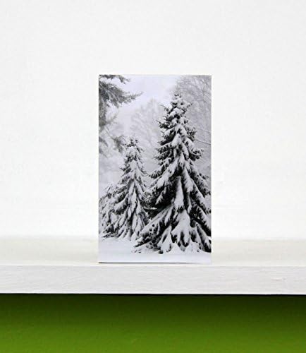 Winter Wonderland, White Christmas Decor, Snowy Landscape Photo, 3X5 Wood Panel
