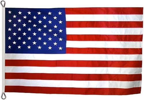 Annin Flagmakers (2380) SolarGuard Nyl-Glo American Flag, Made in USA, 15 x 25…